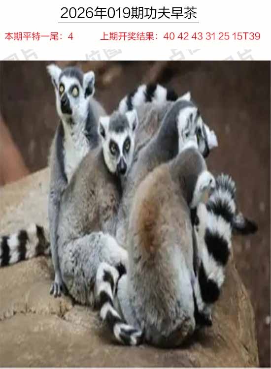 019期功夫早茶[图]