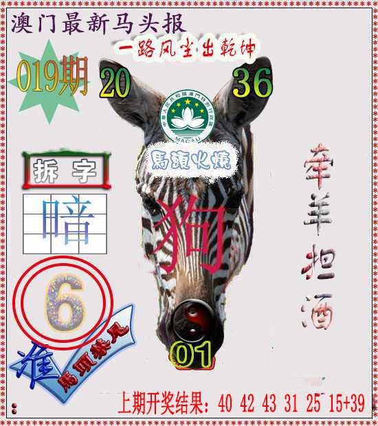019期马头报[图]