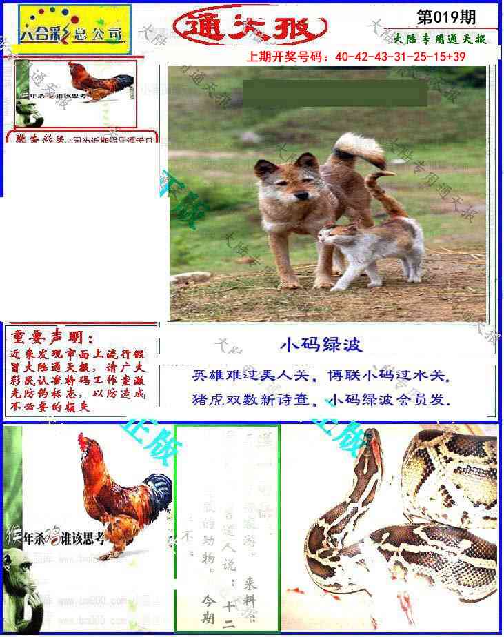 019期大陆通天报[图]