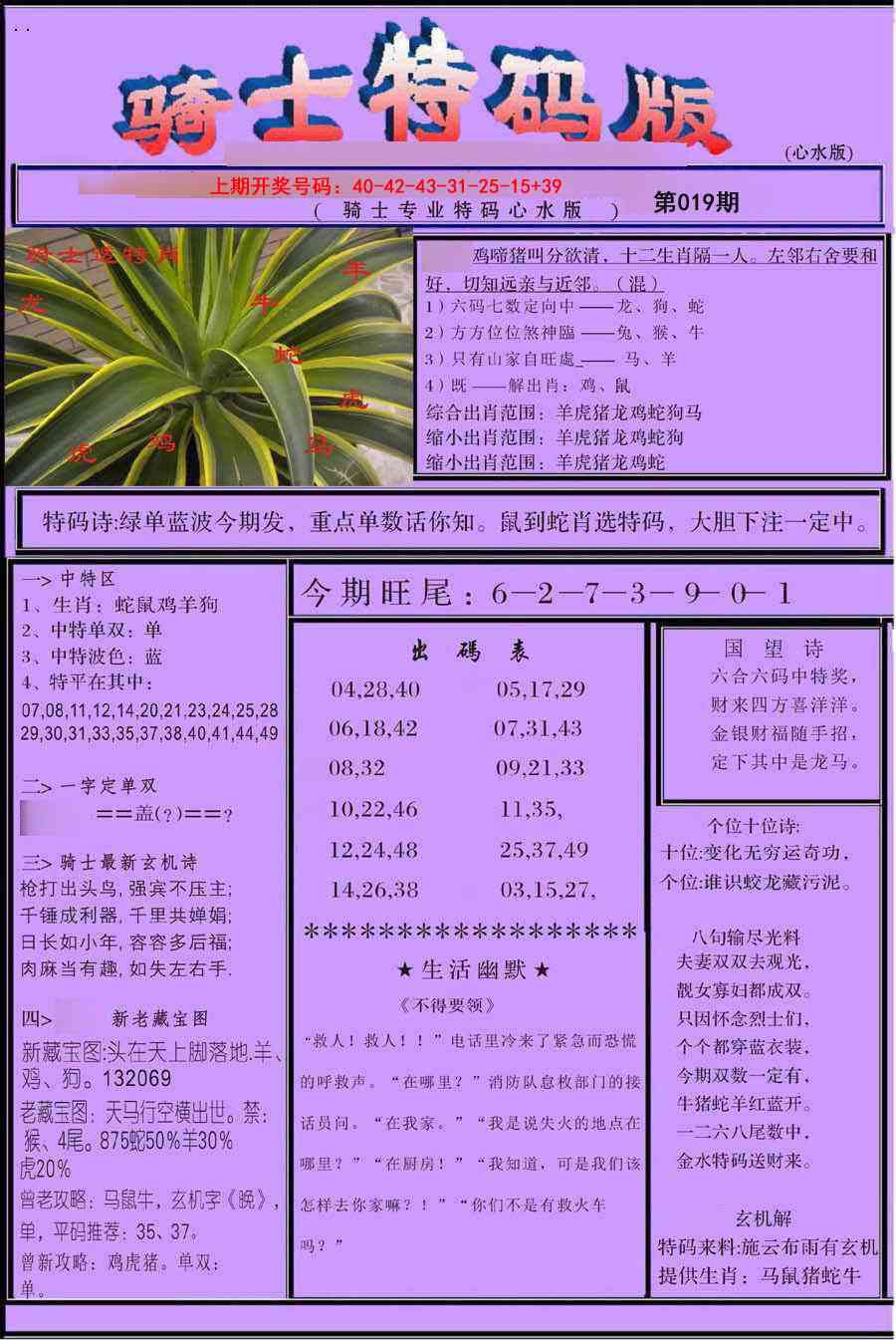 019期骑士特码版[图]