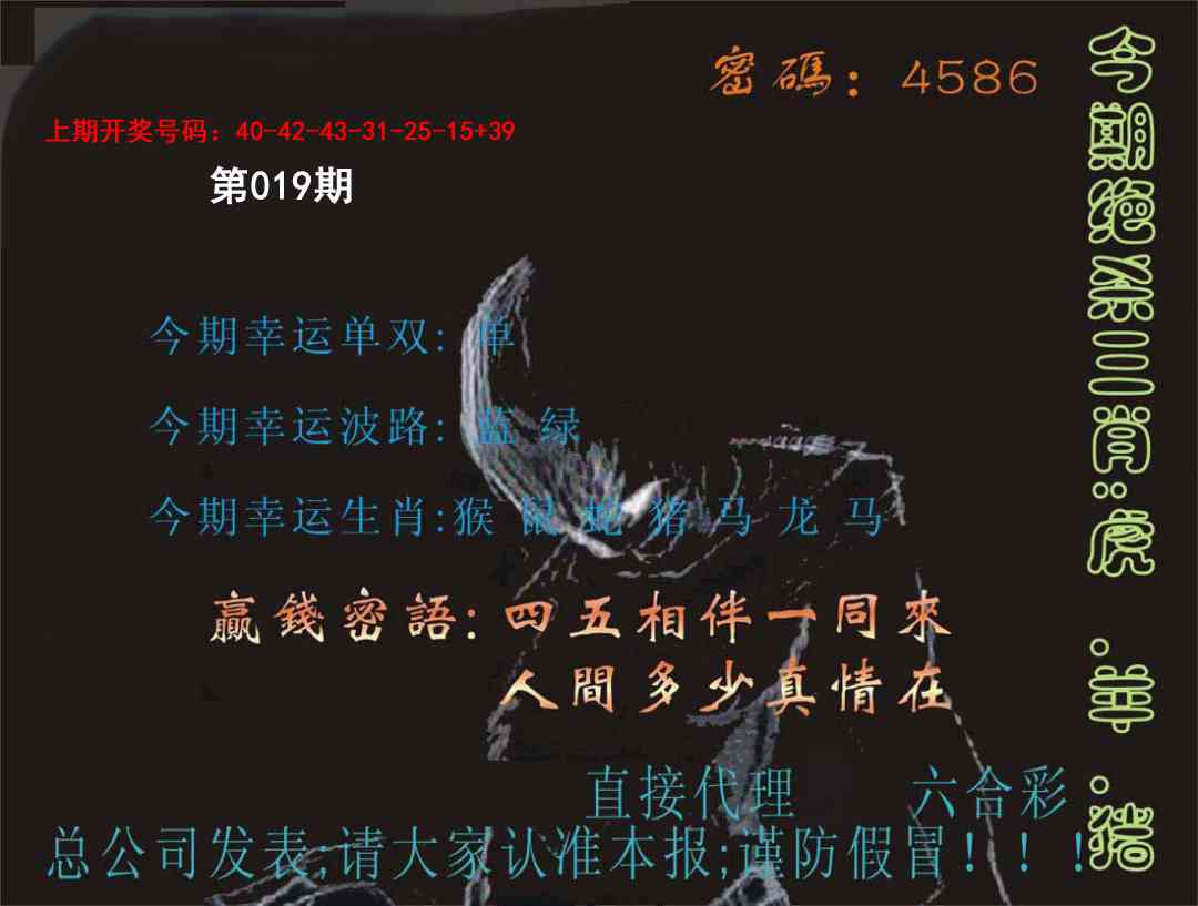 019期特码报[图]