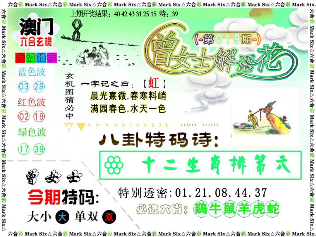 019期曾女士解语花[图]