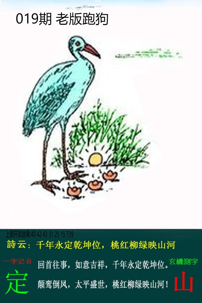 019期老板跑狗[图]