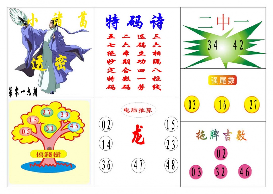 019期小诸葛[图]