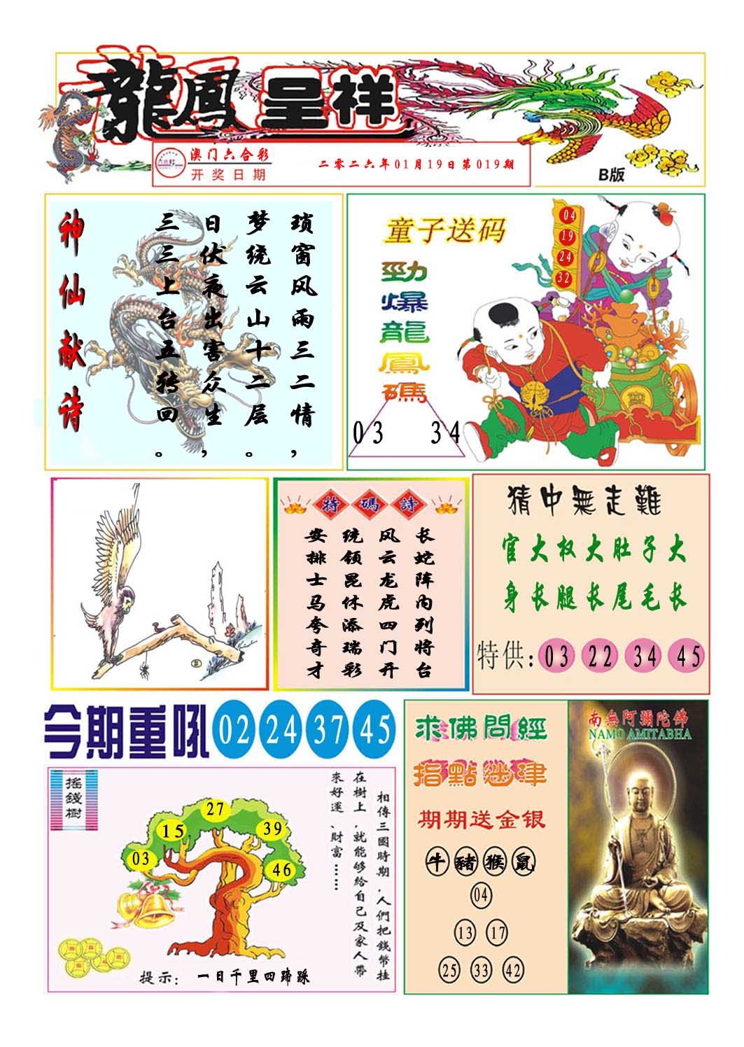 019期龙凤呈祥B[图]