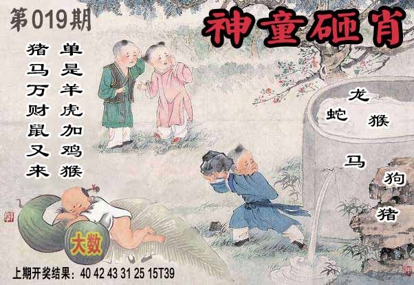 019期神童砸肖[图]