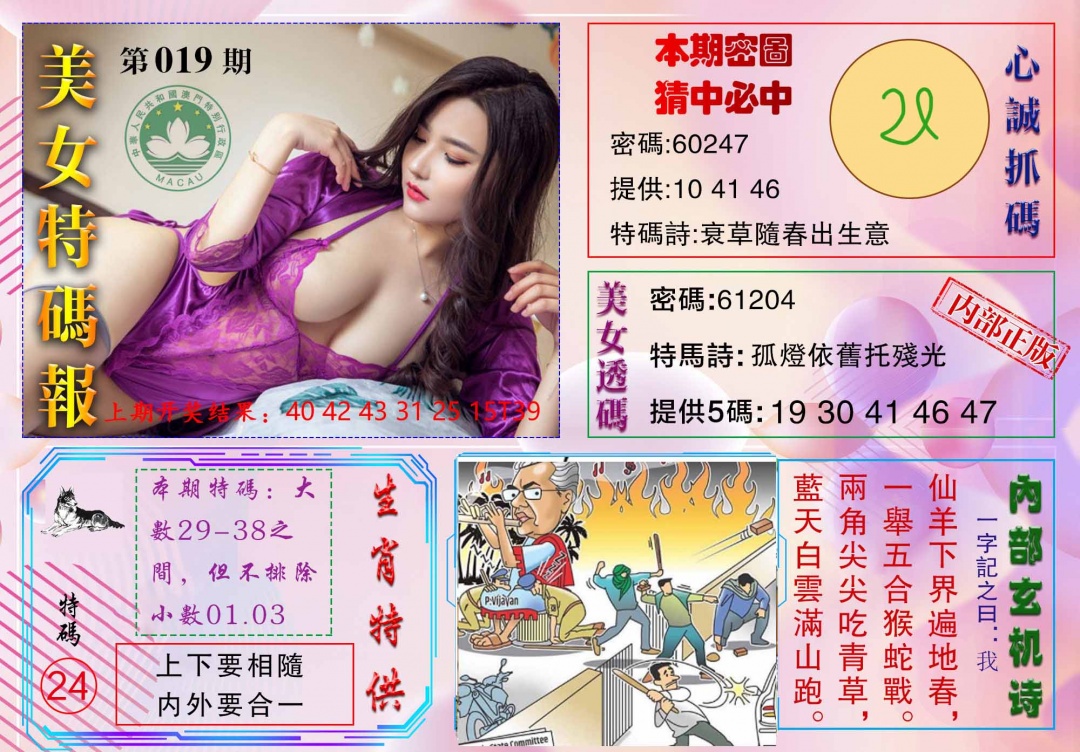 019期美女特码报[图]