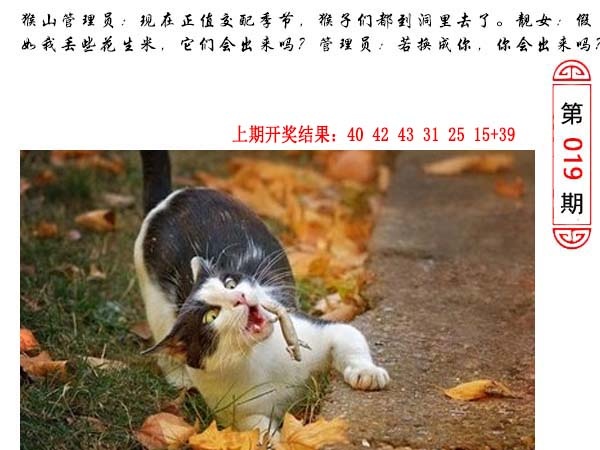 019期澳门生活幽默[图]