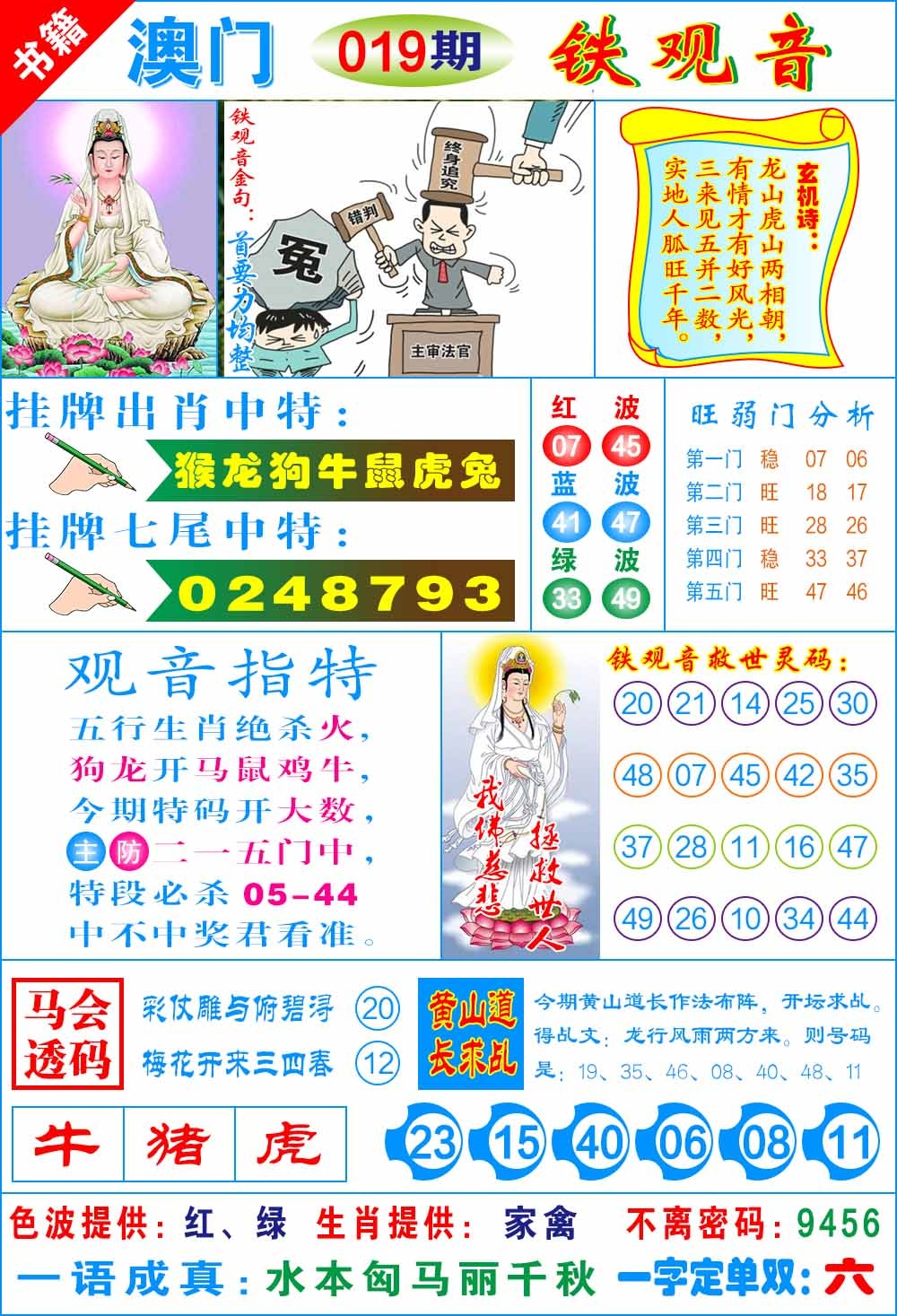 019期澳门铁观音[图]