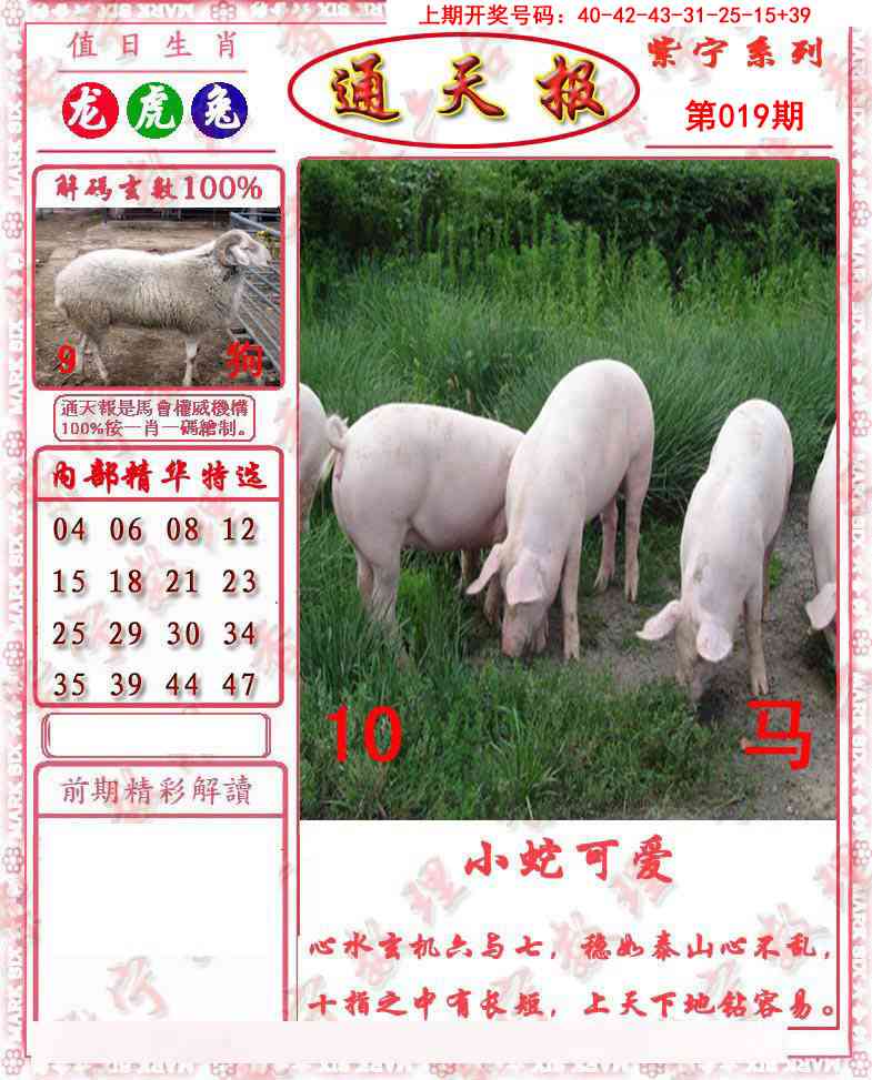 019期救通报[图]