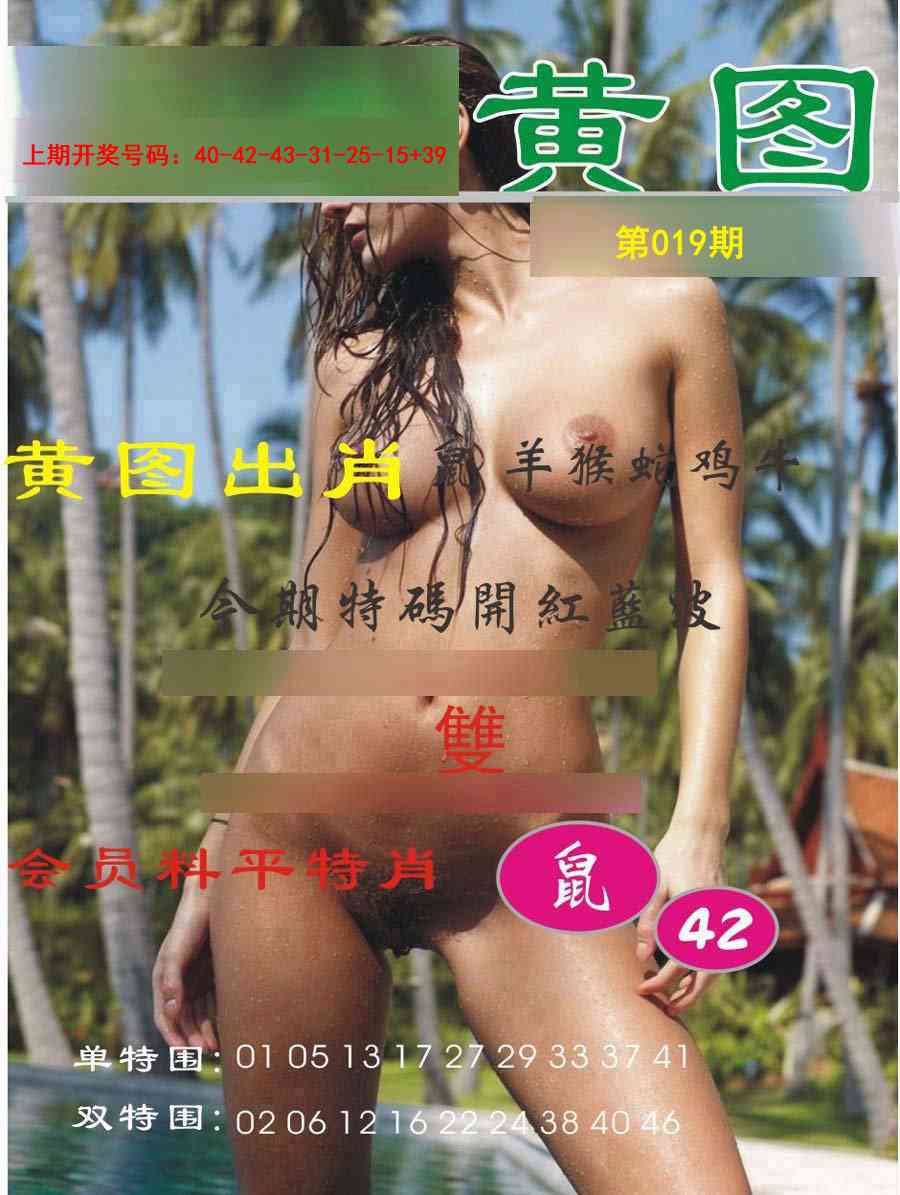 019期黄图[图]