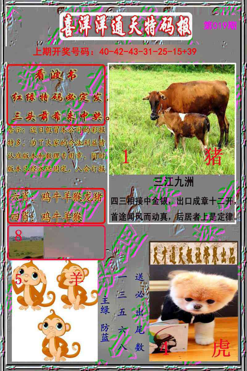 019期洋通报[图]