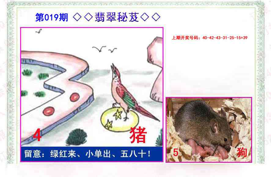 019期翡翠报[图]