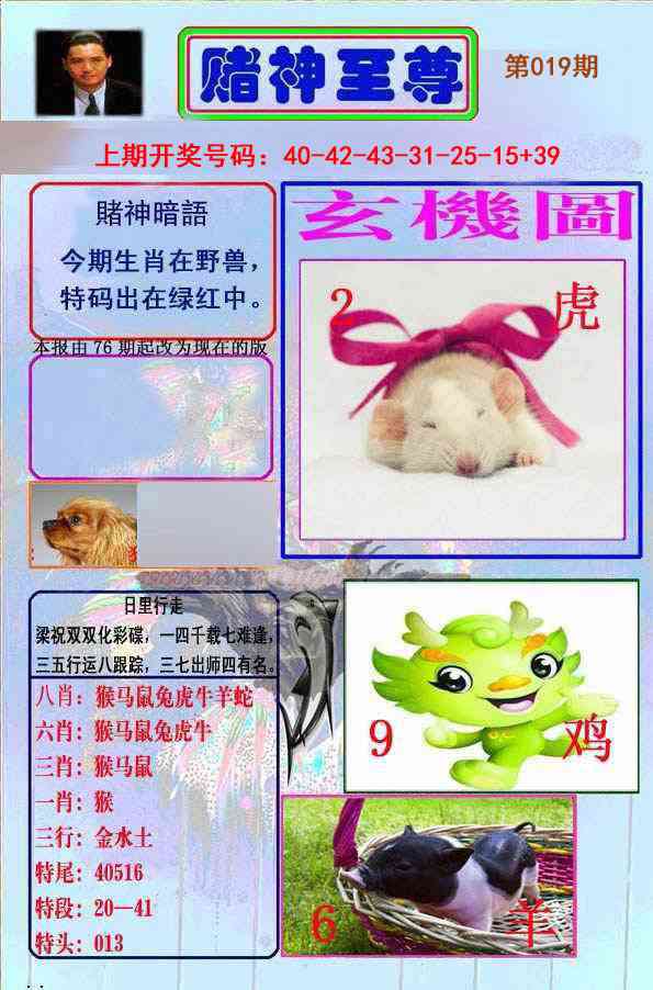 019期赌神至尊[图]