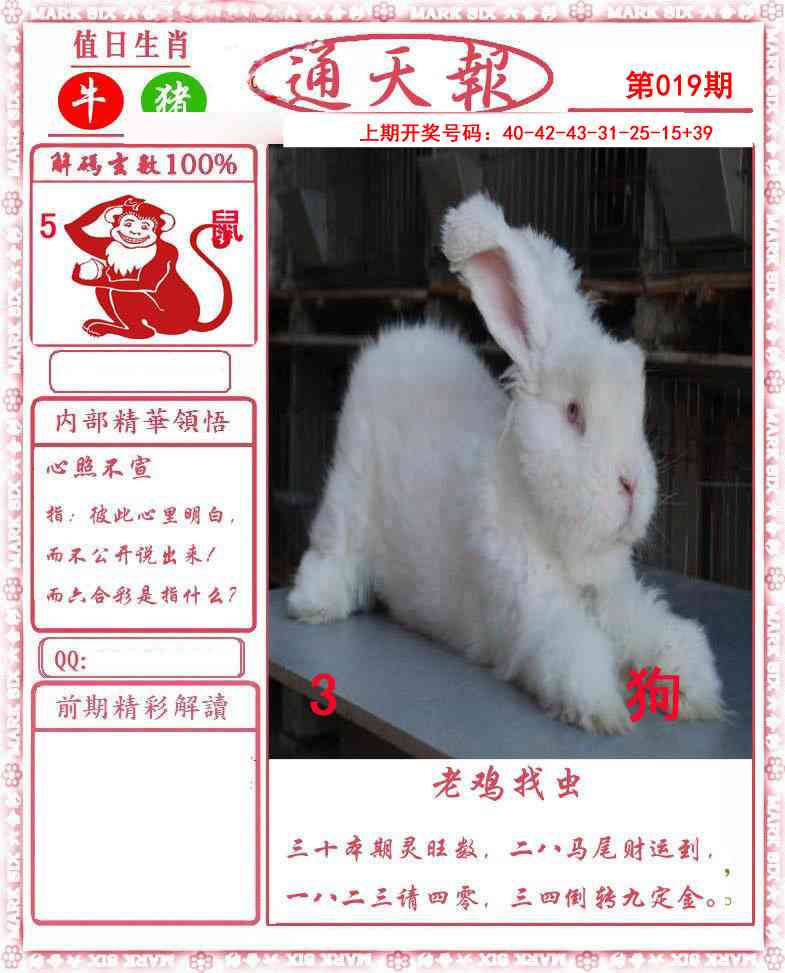 019期正版通天报[图]