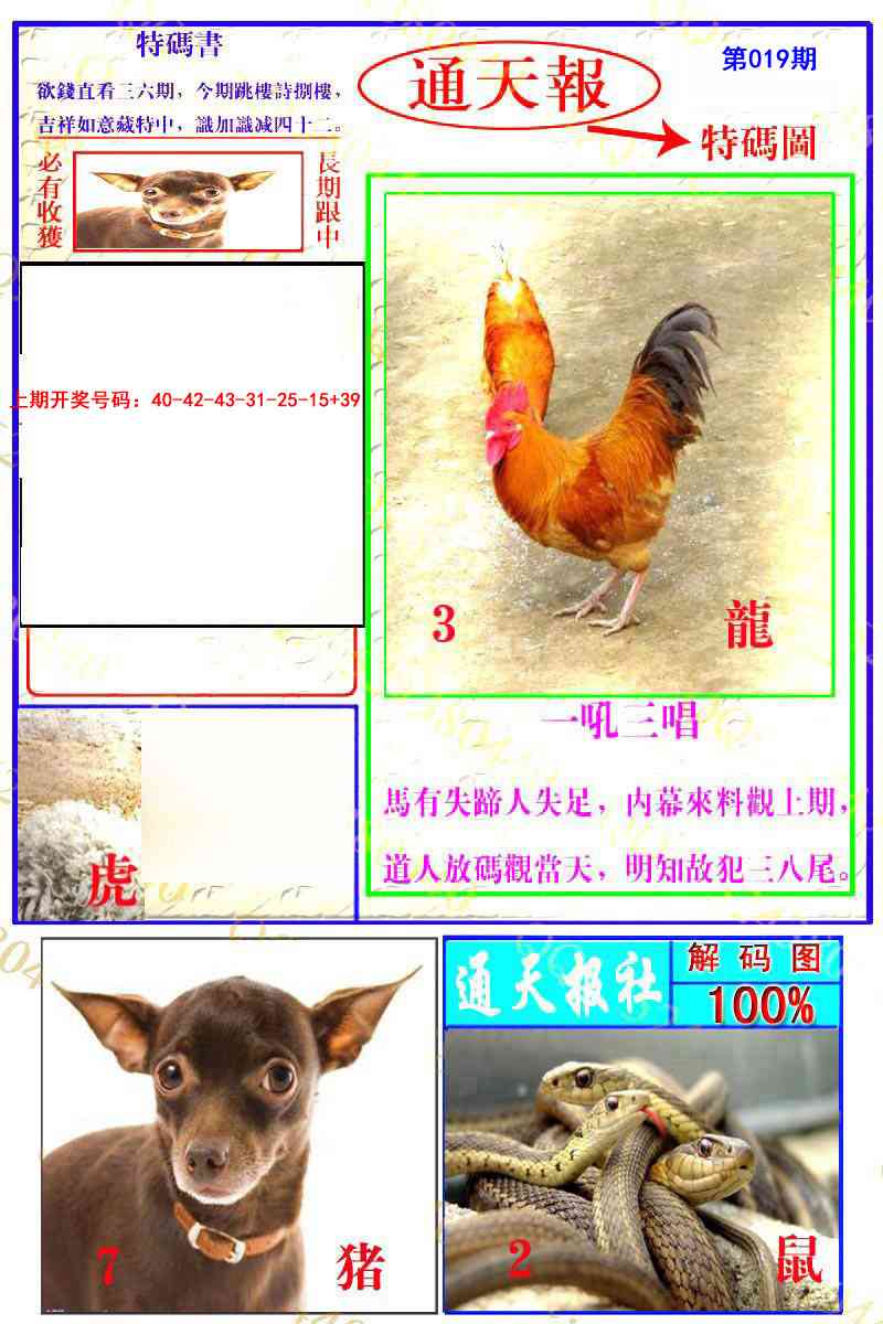 019期通天特解图[图]