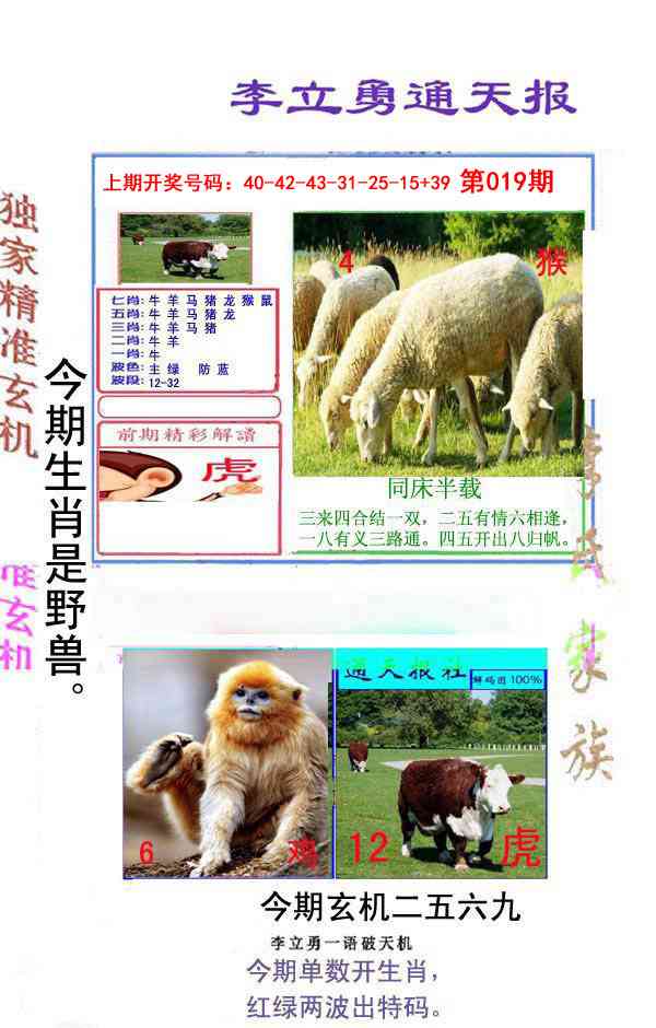019期李立勇通天报[图]