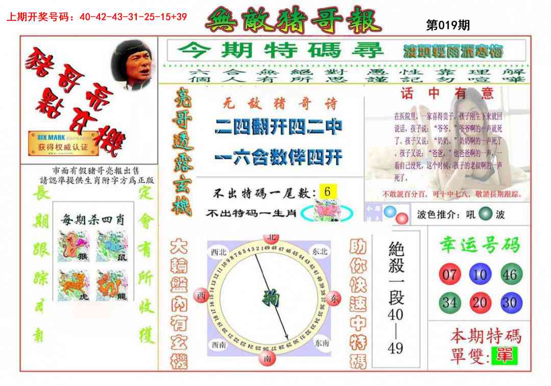 019期无敌猪哥[图]