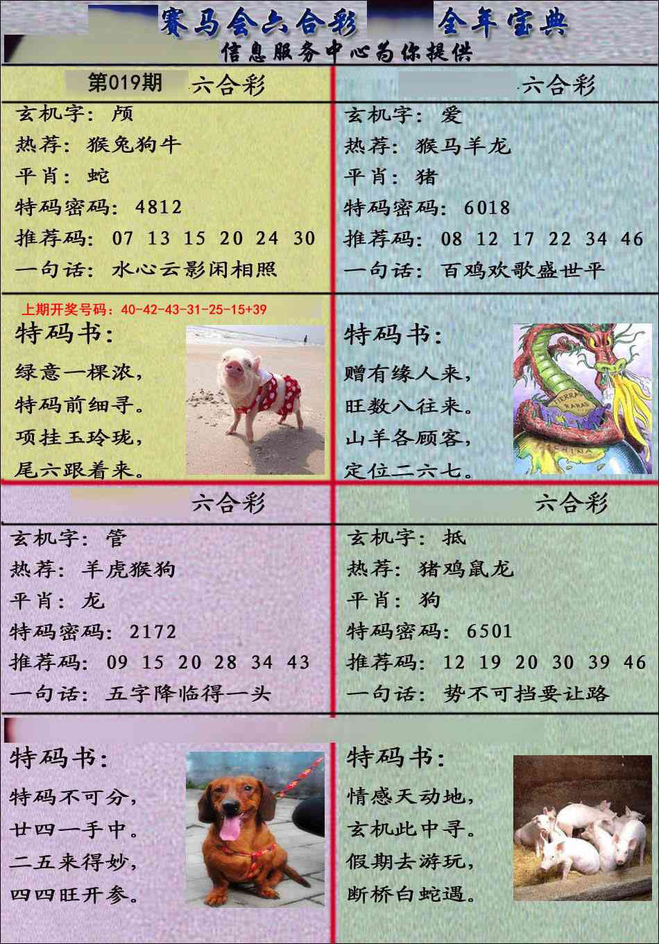 019期宝典报[图]