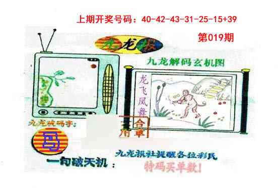 019期九龙报[图]
