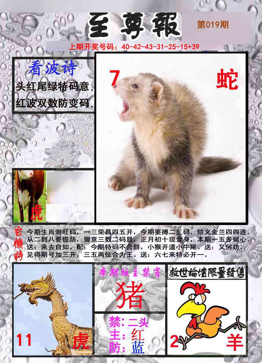 019期至尊报[图]