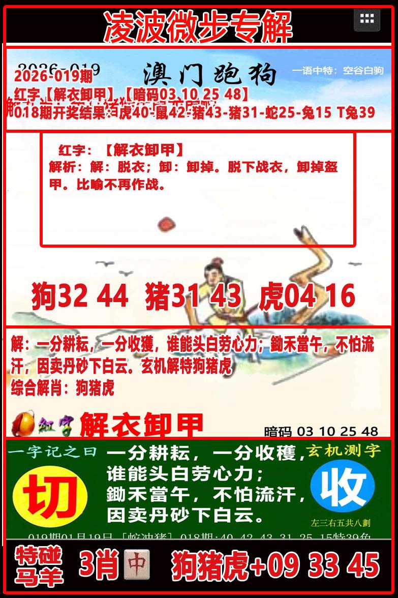 019期凌波微步[图]