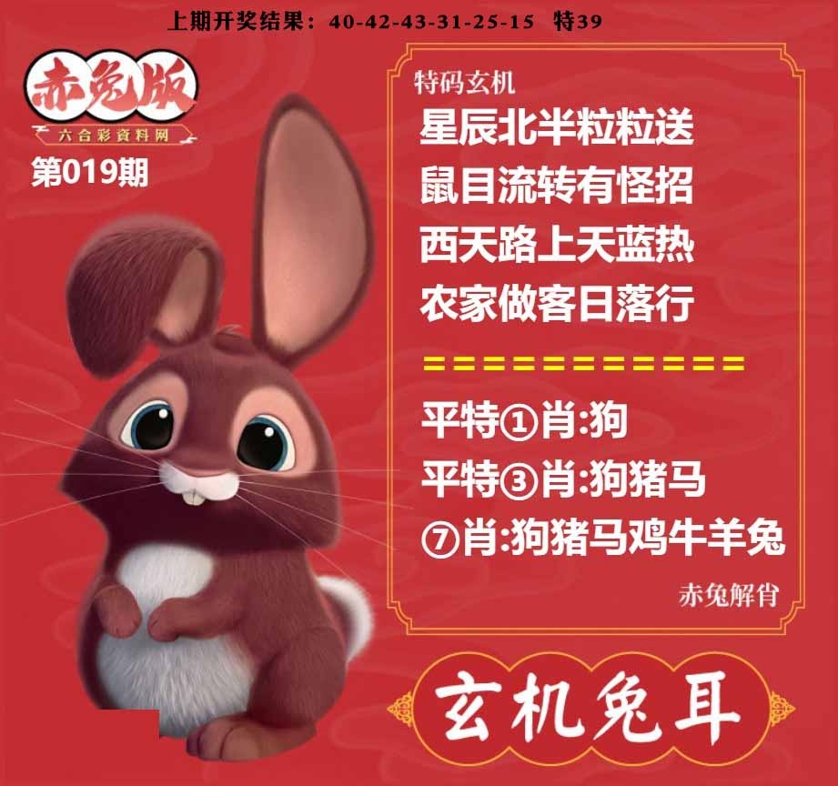 019期玄机兔耳[图]